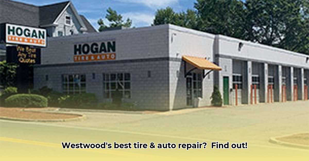 hogan-tire-westwood